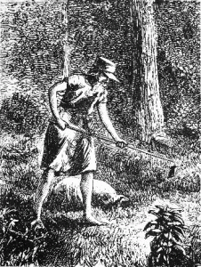Tall Tales & Legends: Johnny Appleseed