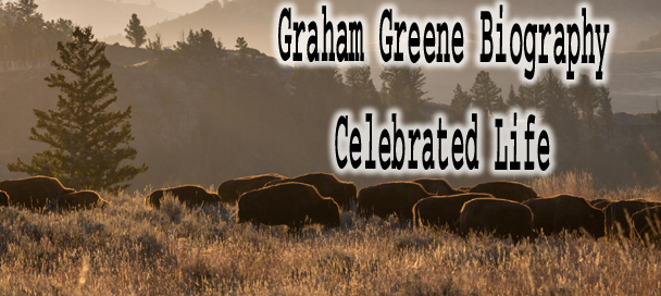 Buffalo herd on open plains symbolizing Graham Greene in Dances with Wolves