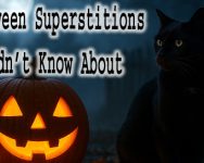 Halloween Superstitions, black cat, pumpkin, jack-o-lantern, full moon, haunted night, spooky folklore, All Hallows Eve, October 31, Halloween traditions
