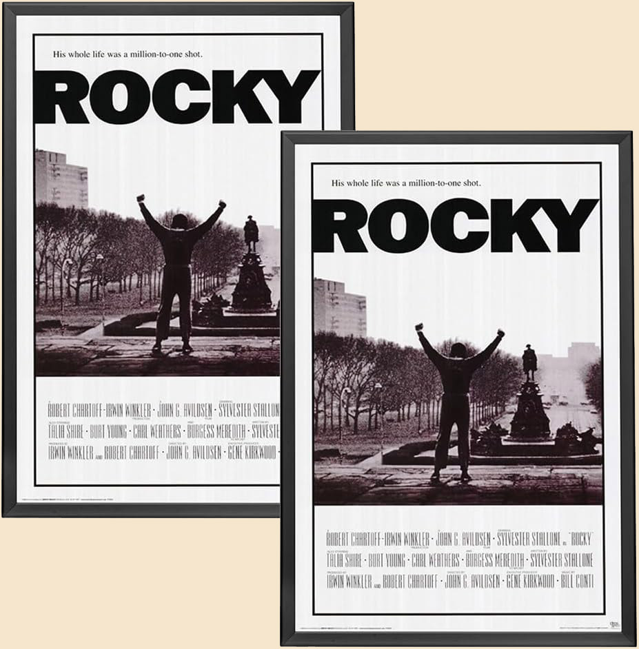 Snap frame for collecting vintage movie posters