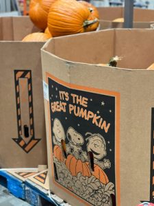 Store display of pumpkins with Great Pumpkin, Charlie Brown artwork on the box