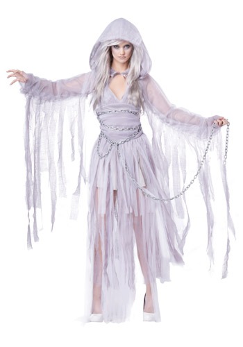 Front view of Haunting Beauty Costume with veil and mesh