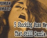 Russ Meyer movies