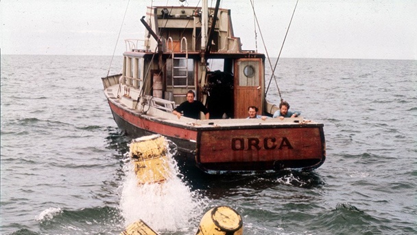 Scene from Jaws