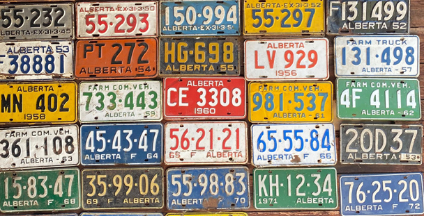 Collection of vintage license plates.