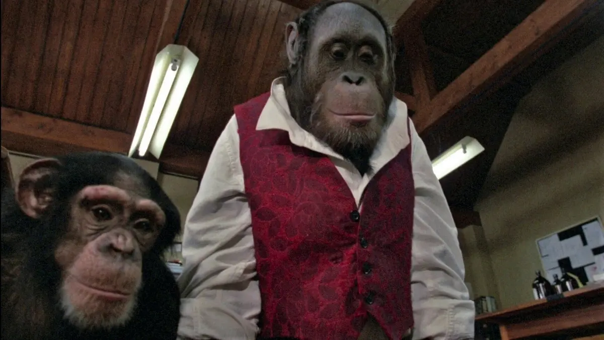 Link Review featuring an orangutan and a chimpanzee, the intelligent primates at the center of the 1986 horror thriller.