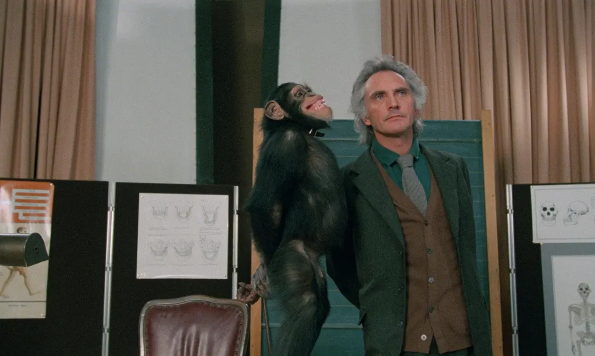 Link Review featuring Terence Stamp alongside a chimpanzee in the 1986 horror thriller about dangerous primates.