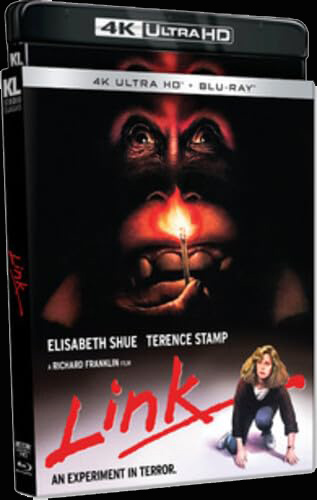 Link 4K featuring Elisabeth Shue and the orangutan Link from the Link Review